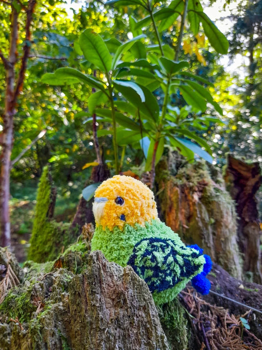 Chubby Baby Budgie